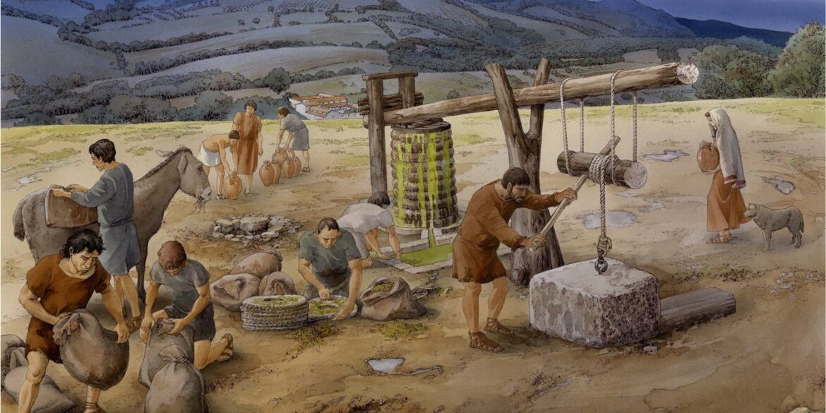 Olives have been essential to life in Italy for at least 6,000 years—far longer than we thought Olives have been essential to life in Italy for at least 6,000 years—far longer than we thought