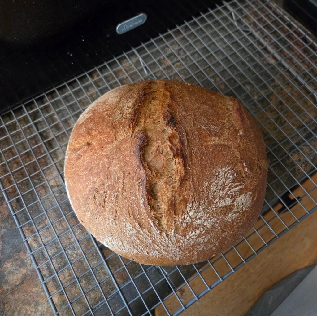 Easy No-Knead Whole Wheat Dutch Oven Bread