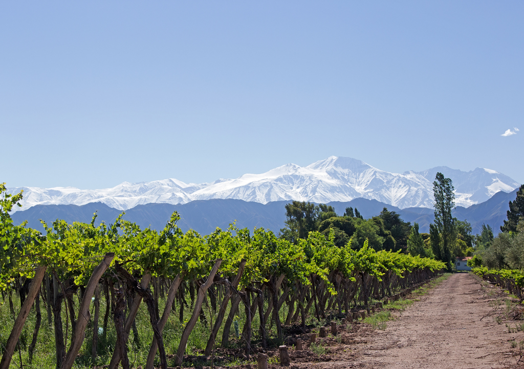 Mountains, vineyards, and river beaches make Luján de Cuyo “Argentine Tuscany.”