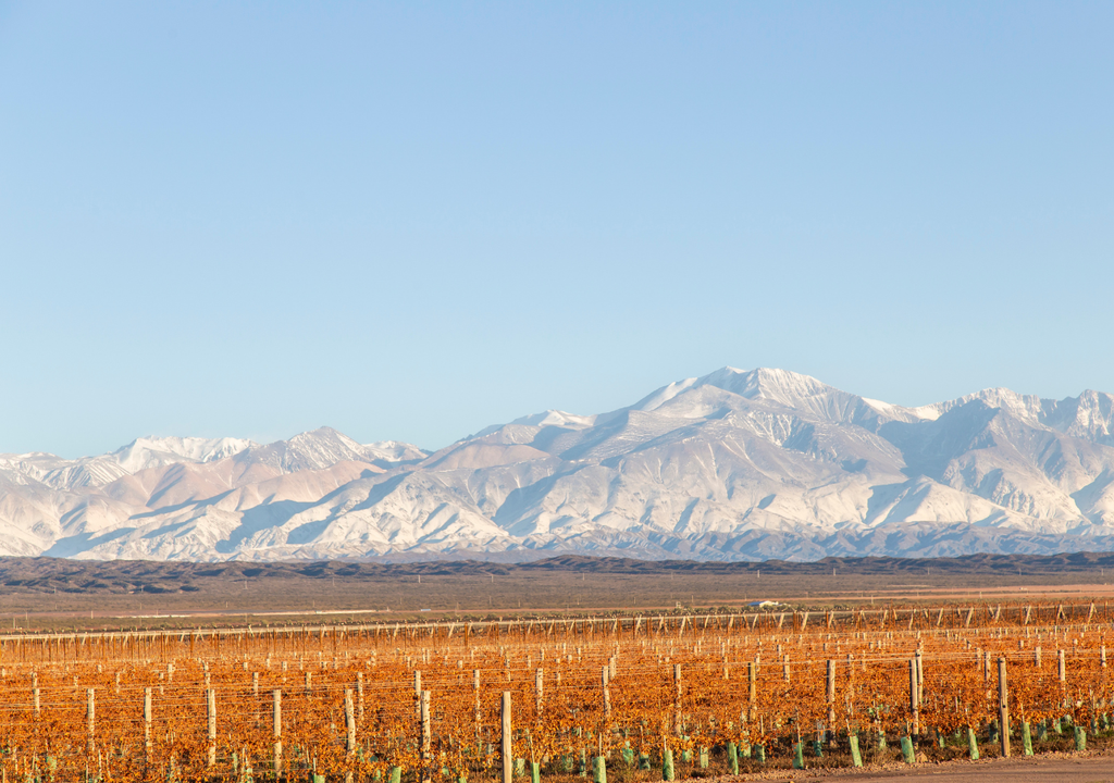 Just 25 kilometers from Mendoza City, Luján is a destination that makes you feel as though you are in the middle of the Italian Tuscany.