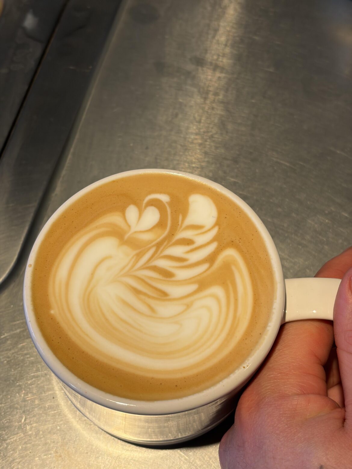 swans have finally clicked for me!