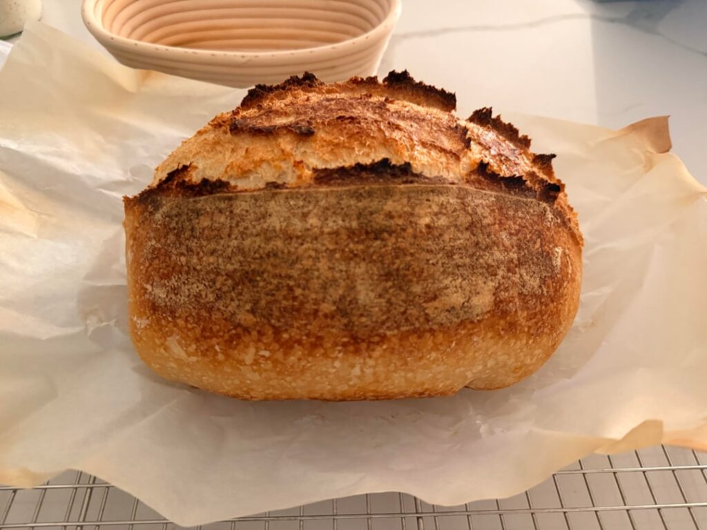 First sourdough, looking for constructive criticism