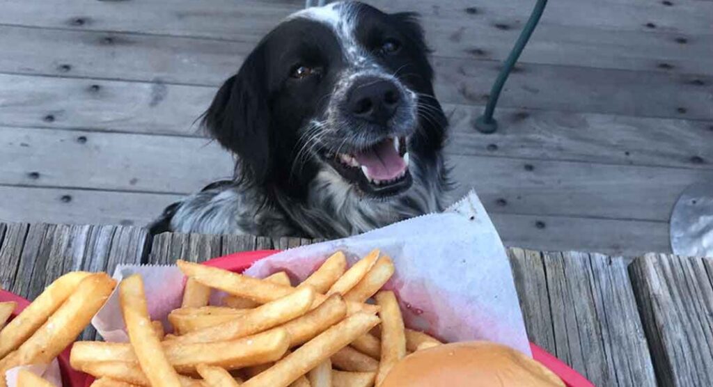 The 5 Best Post-Run Foods, Ranked