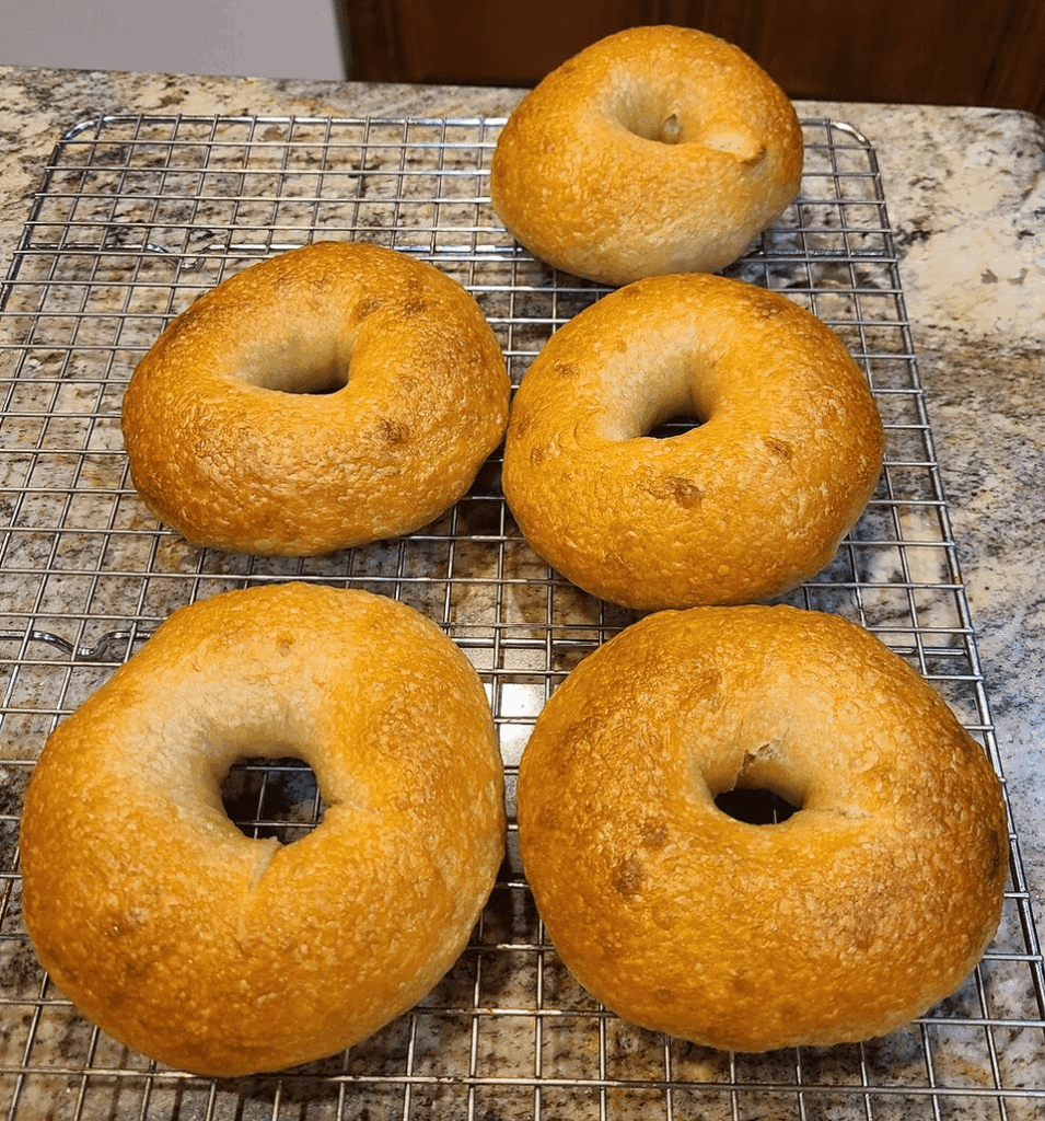 My son's bagels (college student); overnight fridge ferment
