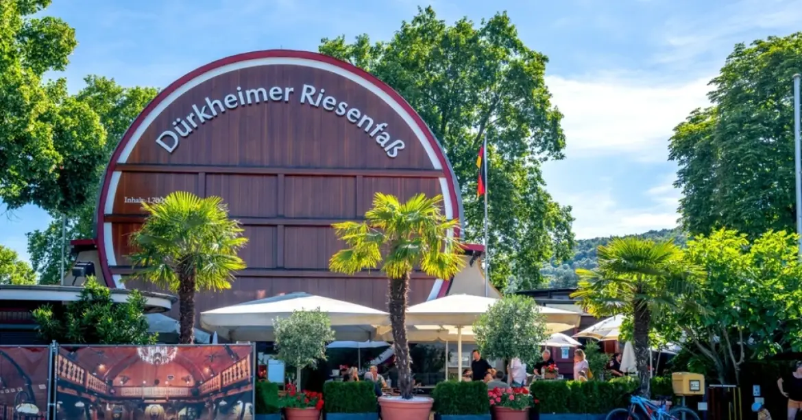 The Top 10 Things To See And Do Along Germany's Wine Route