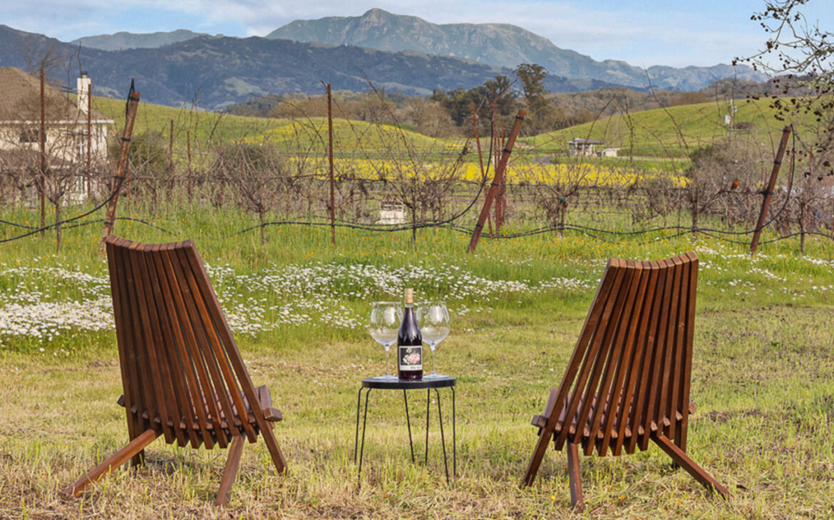 5 California Wine Country Retreats | Inhabit Two wooden chairs face a small table with a wine bottle and glasses in a grassy vineyard, nestled among equestrian estates, with mountains and blue sky in the background.