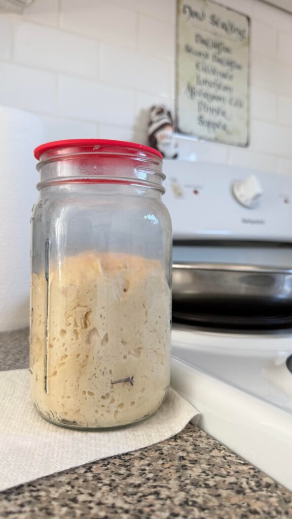 I made a Lievito Madre and I’m never going back to regular starters