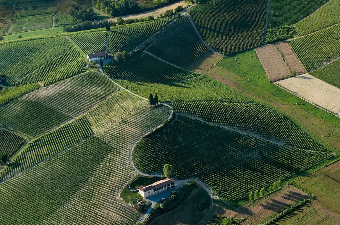 Cru-La-Court-Barbera-dAsti Michele Chiarlo