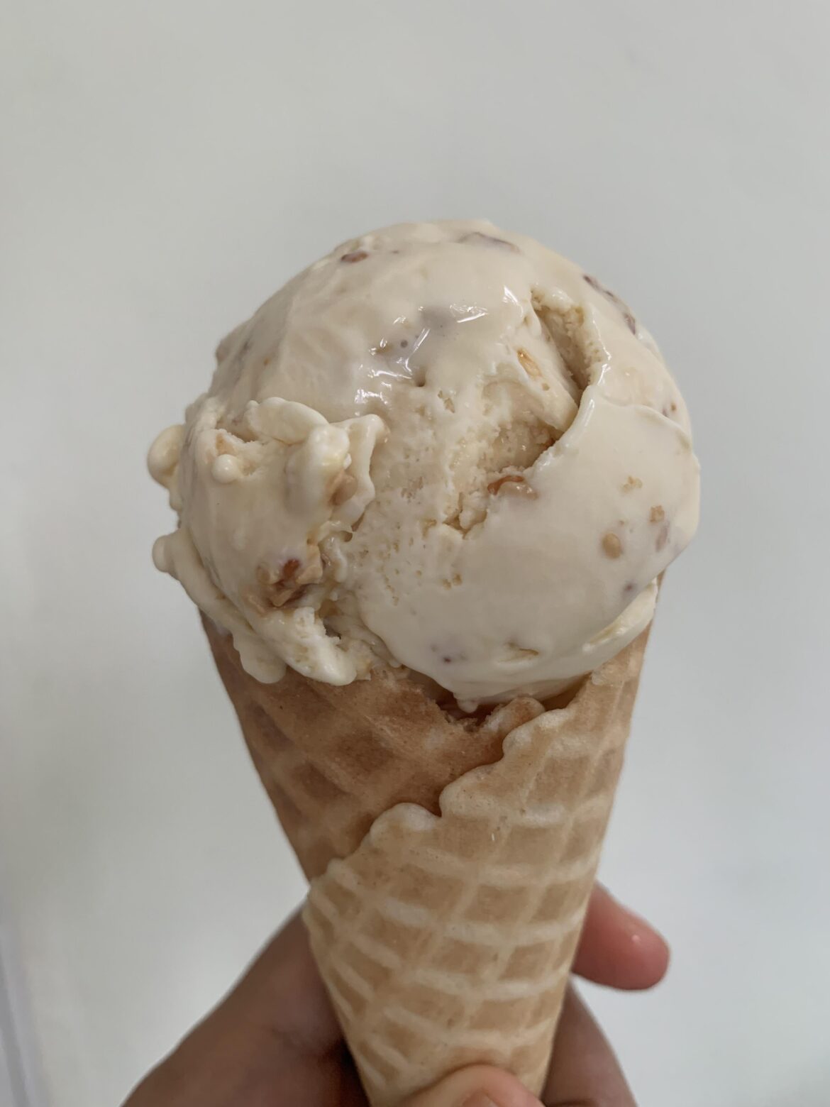 Sesame with sesame brittle