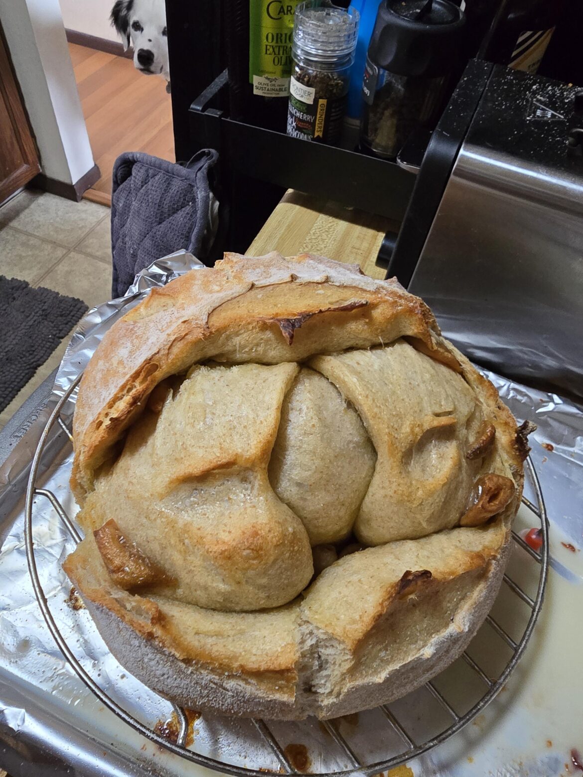 I think I did something wrong when adding roasted garlic to this loaf 🤣 happy to report the crumb is beautiful. Any tips for incorporating next time?
