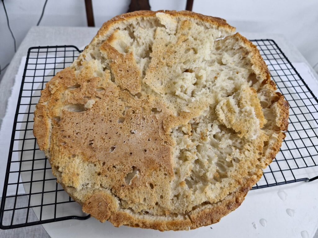 Bread fail, stuck to the baking tray