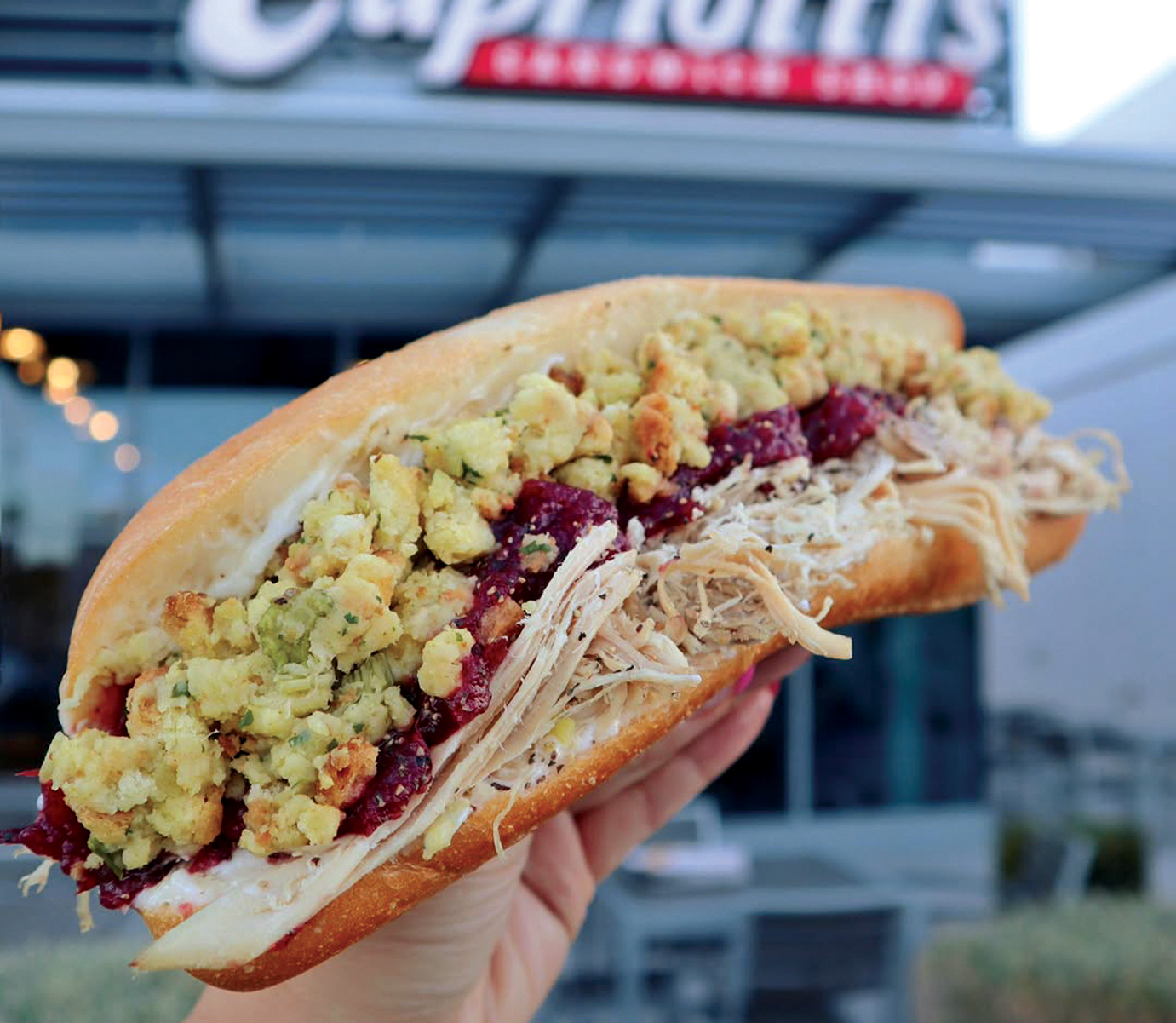 thanksgiving dinner roll