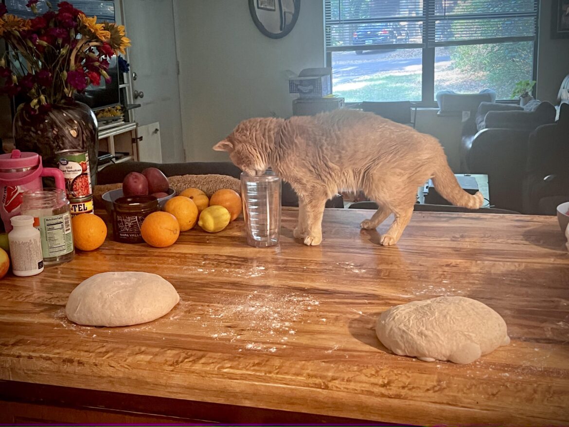 Interrupted pre-shape