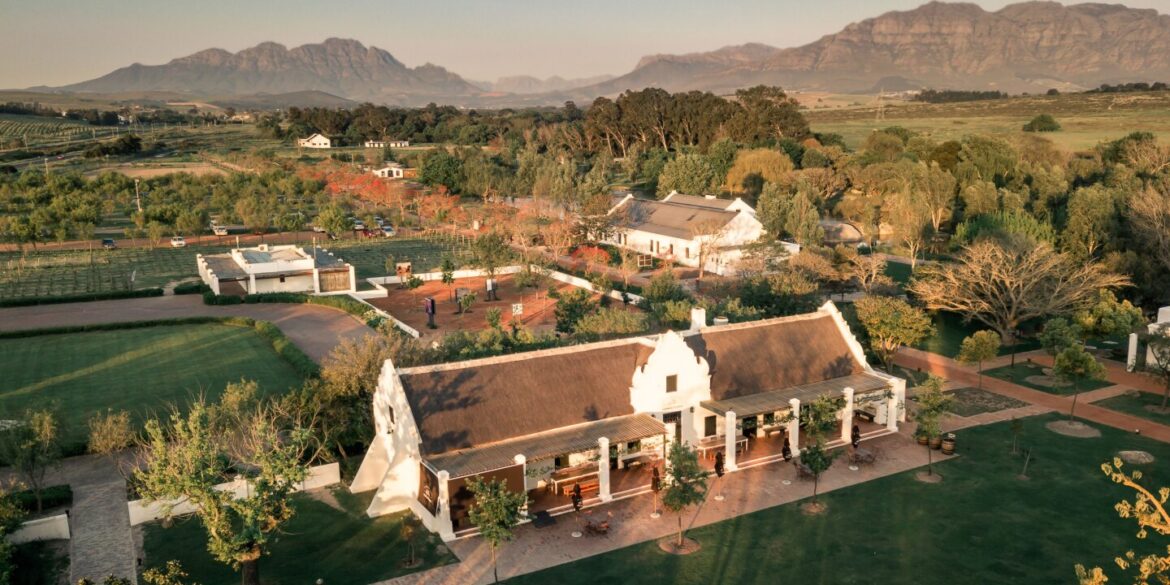Inside a Regenerative Wine Estate in South Africa