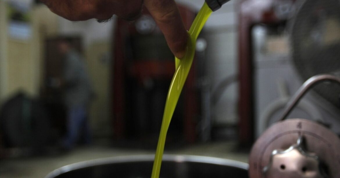 To Get The Benefits Of Olive Oil, Fresh May Be Best