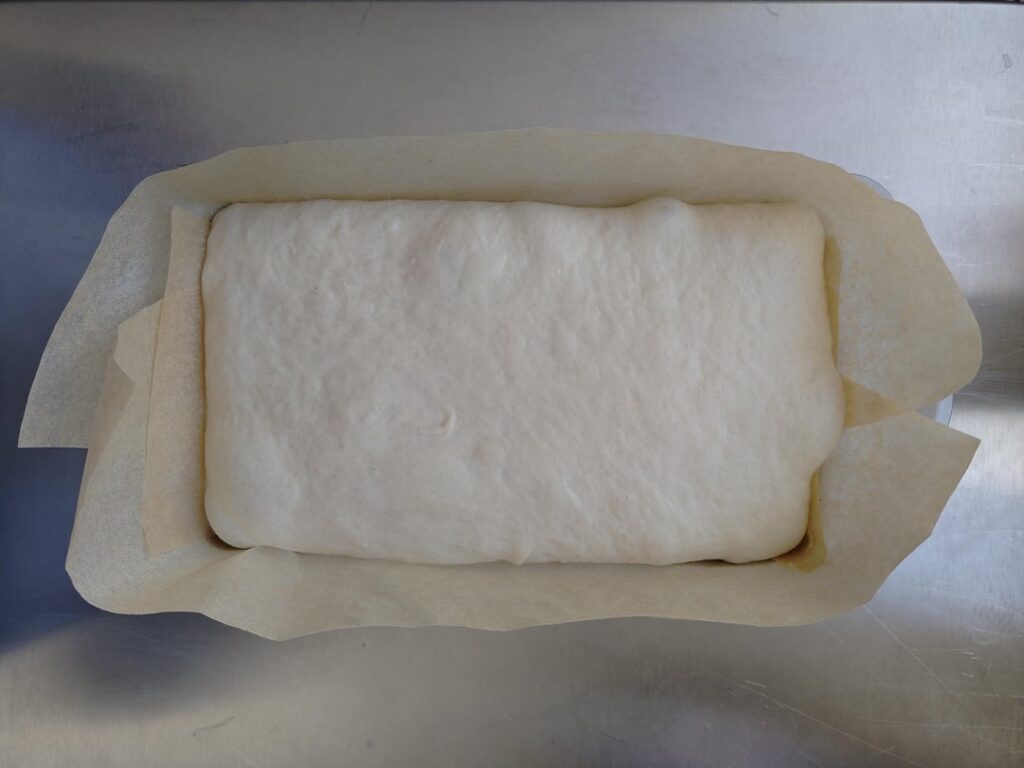 Surprisingly good discard sandwich loaf