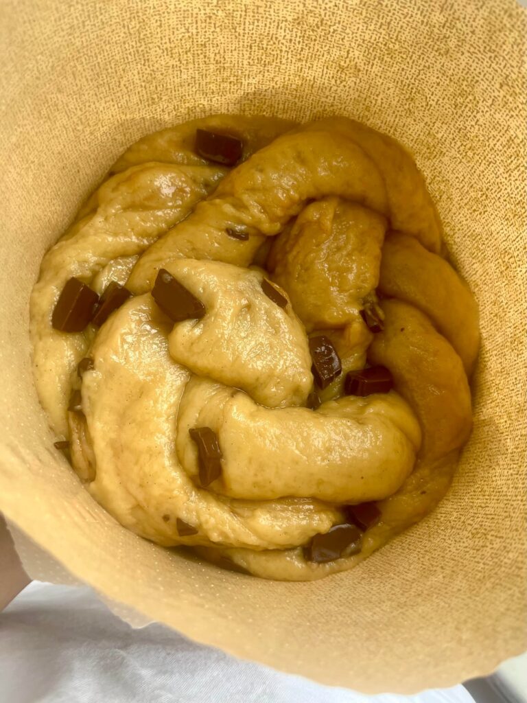 Can’t figure out what’s wrong with my (enriched) dough