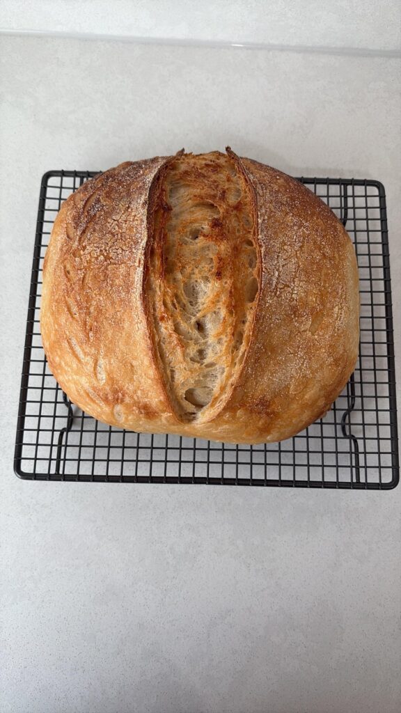 I think I finally did it?? Feedback please 😊