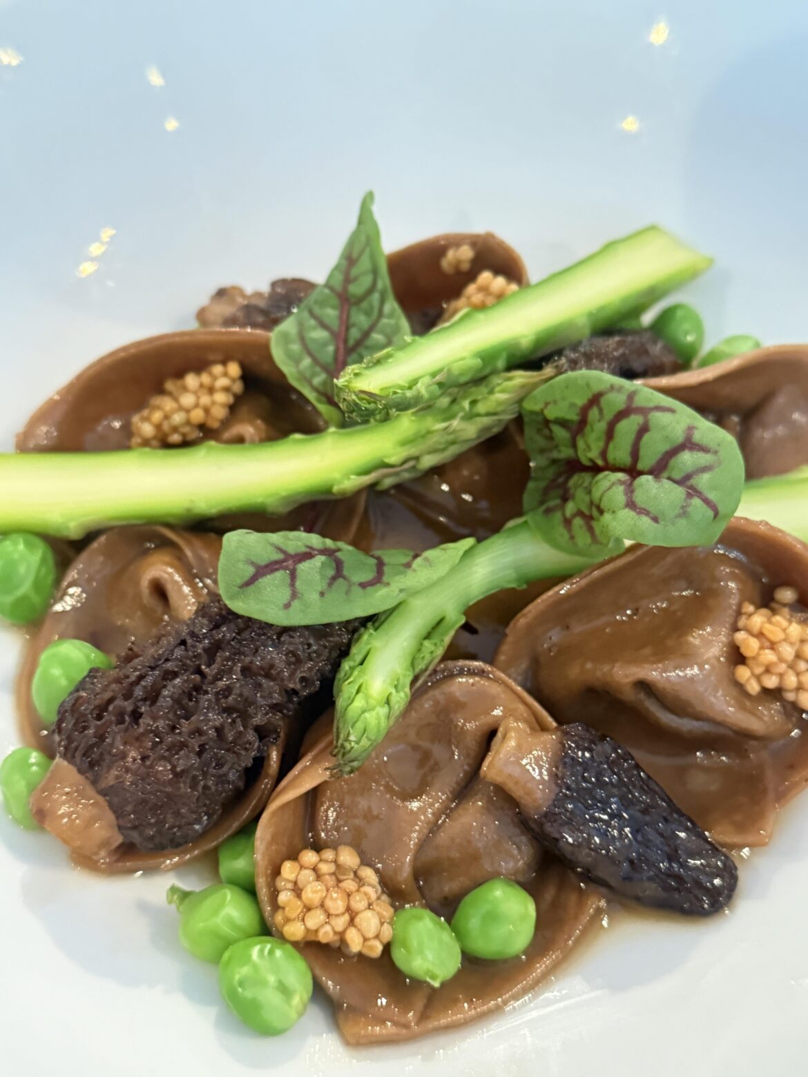 Morel & black garlic cappelletti, spring veg, mushroom chicken jus, pickled mustard.