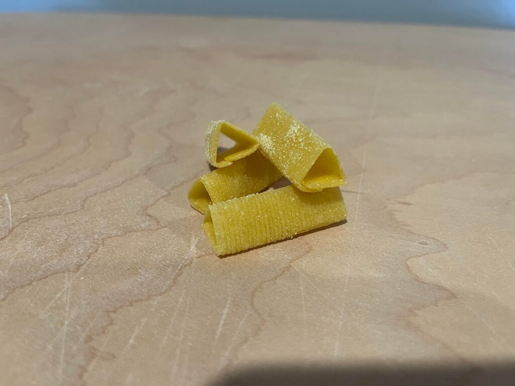 Trenne with caramelized mushrooms and tomato sauce