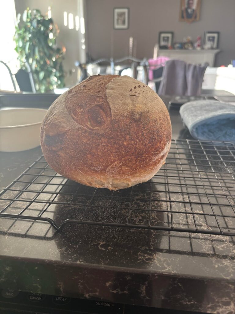 My first attempt at open baking