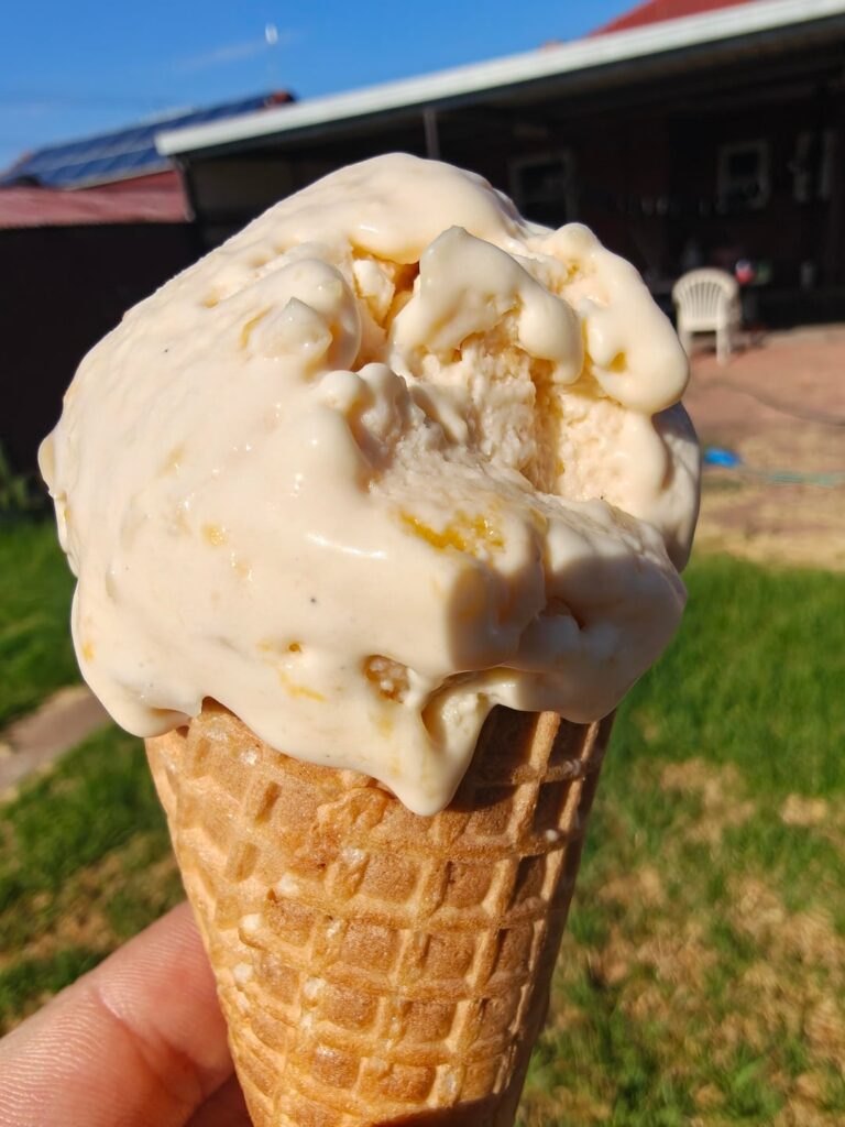 An amazing 20 dollar (aus) op shop find - and the mango and cashew ice-cream that resulted!