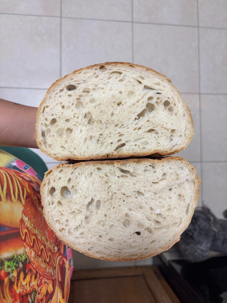 Marla looks so BIG! Did I finally do it right?