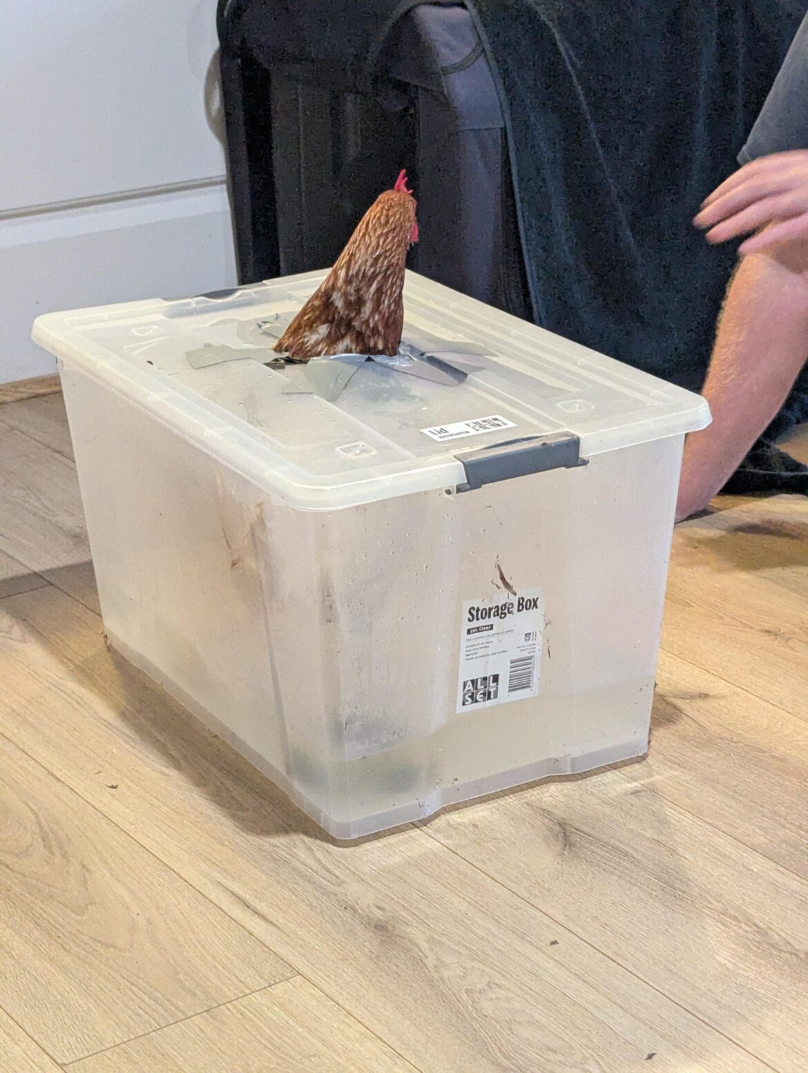 Am I doing this right?