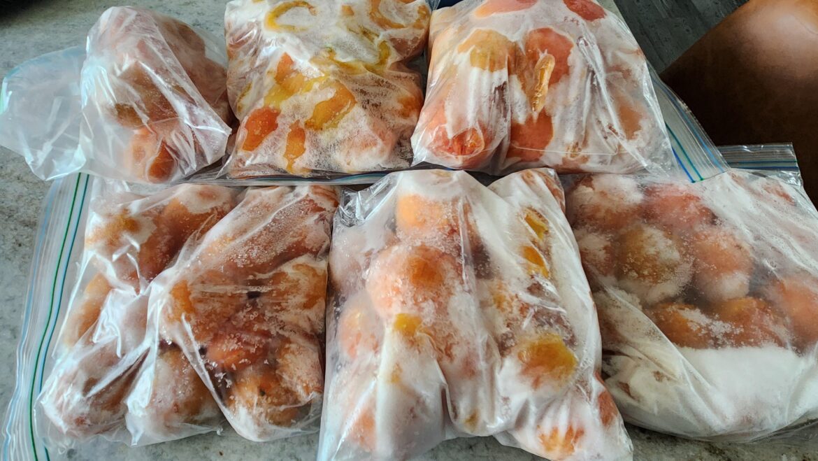 Tomato's from the freezer