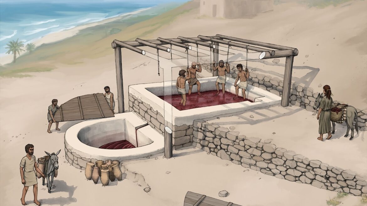 2,600-year-old Phoenician wine 'factory' unearthed in Lebanon