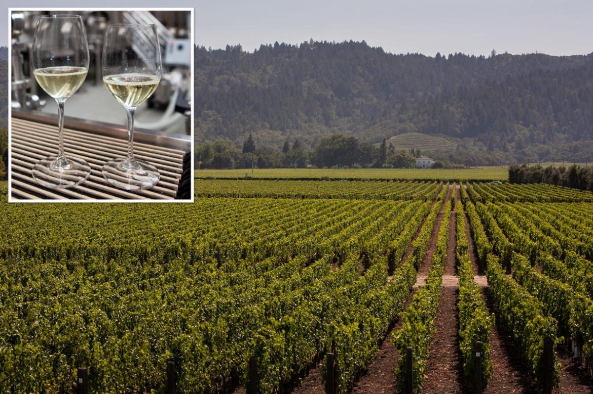 Napa wine industry crisis deepens as vineyard values plunge Napa wine industry crisis deepens as vineyard values plunge