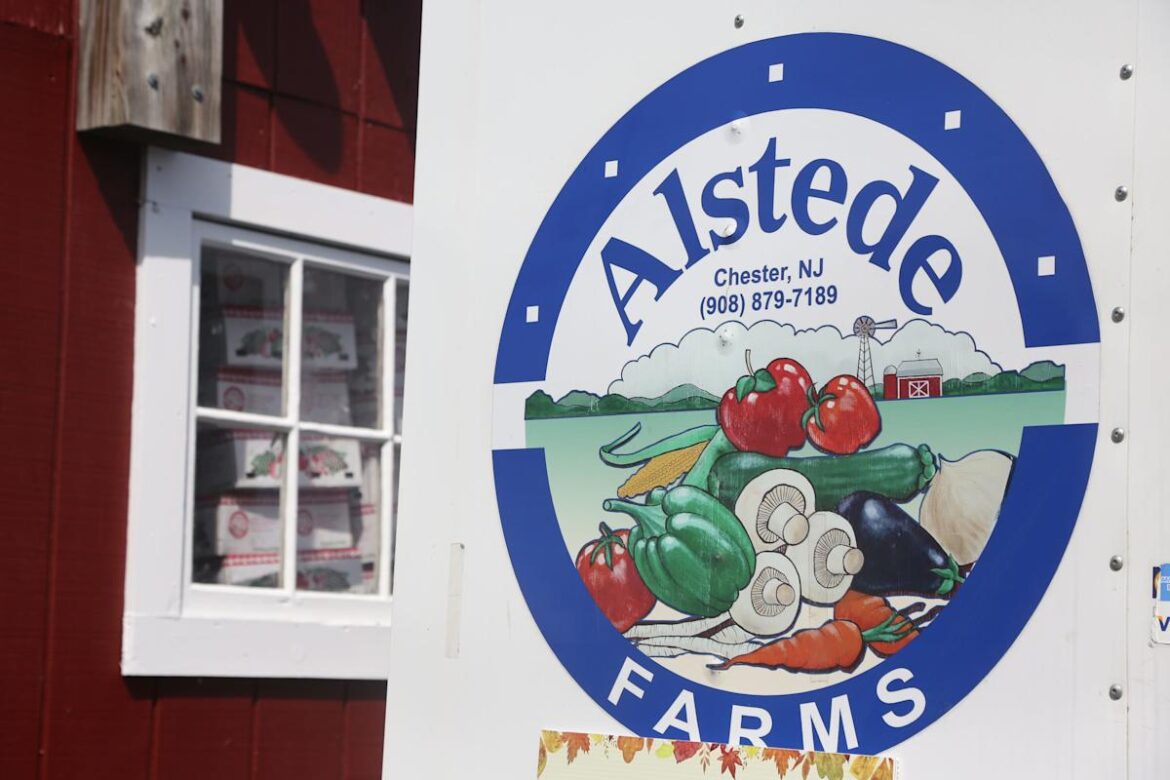 Celebrate mom at these unique Mother’s Day food spots in North Jersey Chester, NJ September 21, 2023 — Apple picking season and the wonders of Fall are full in stride at Alstede Farms in Chester, NJ on September 21, 2023.