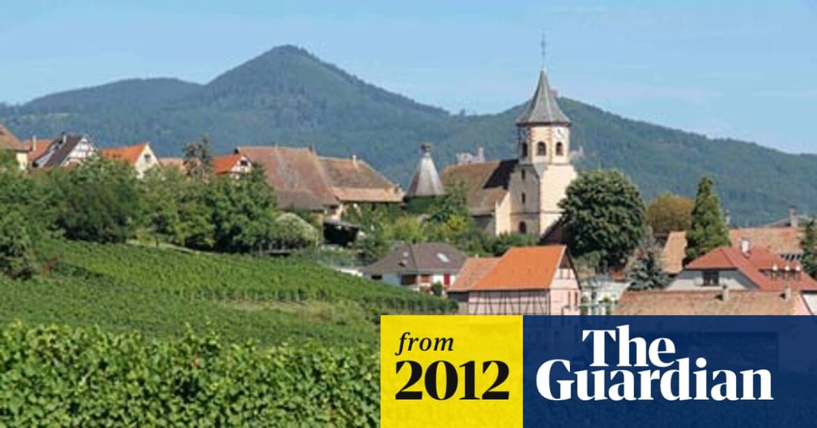 Top 10 guide to the Alsace wine route | France holidays