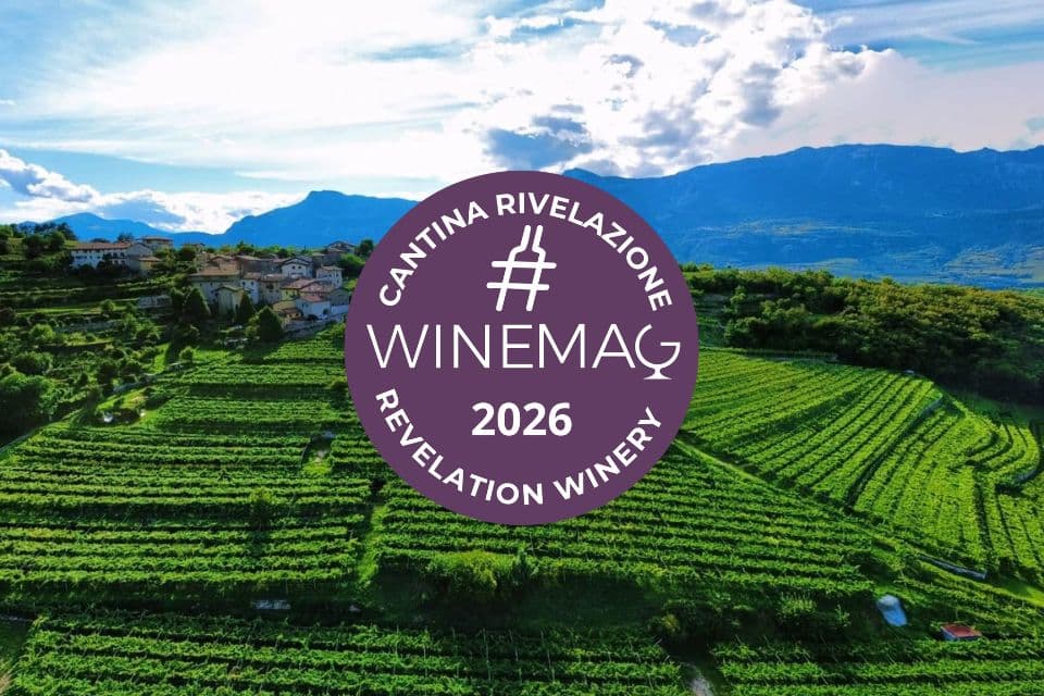 Azienda Agricola Mattè Italian Revelation Winery 2026 Winemag Azienda Agricola Mattè, Cantina Rivelazione Italiana 2026 Guida Winemag