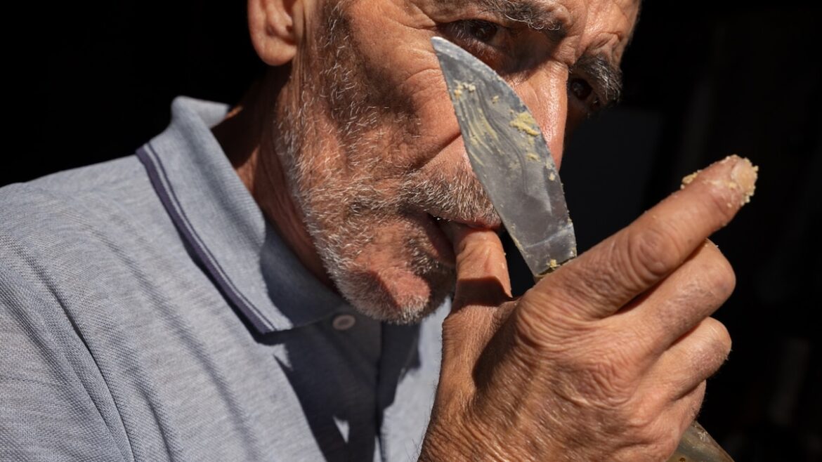 The strange story of casu marzu, Sardinia’s famous maggot cheese