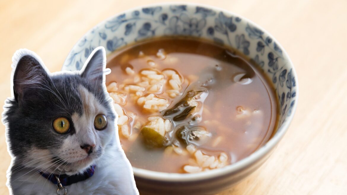 Nekomanma: The "Ill-Mannered" Japanese Food That Used to be a Commonfolk Staple