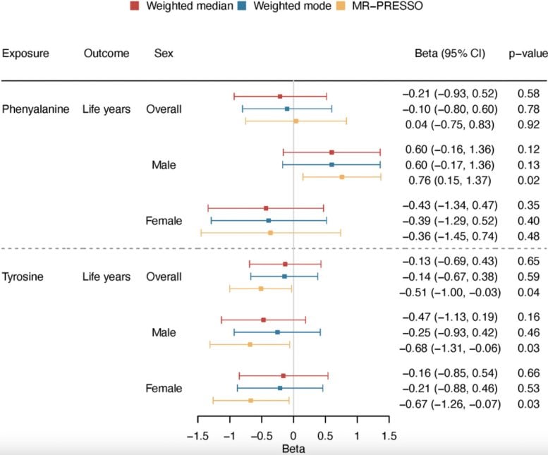 Overall and Sex Specific Associations of Phenylalanine and Tyrosine With Lifespan