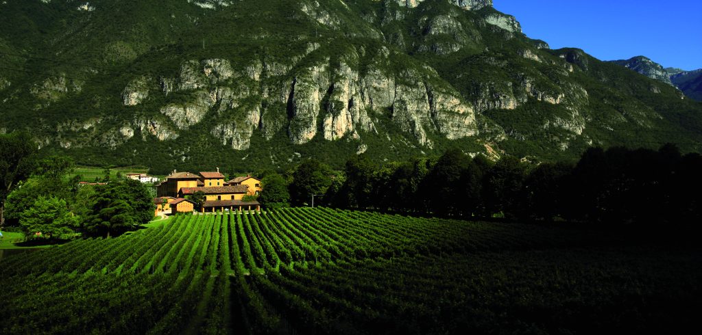 WineInk: The remarkable wines of San Leonardo WineInk: The remarkable wines of San Leonardo
