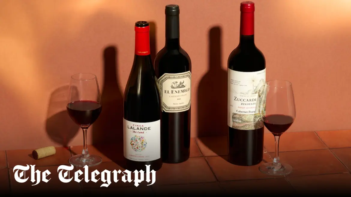 Cabernet franc is the Argentinian red that everyone’s talking about – not malbec