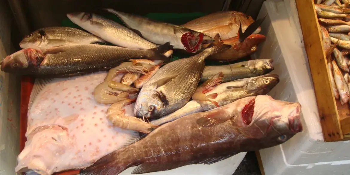 Italians leading Mediterranean seafood consumption