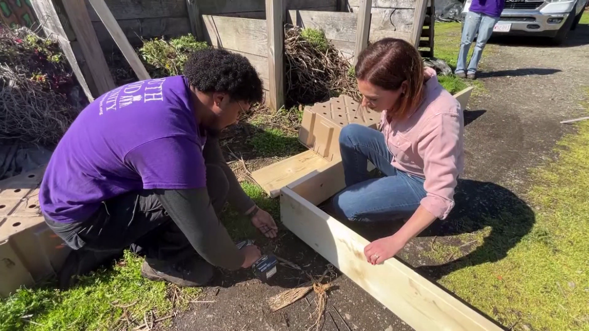 Boston gardeners learn to grow more food in small spaces Boston gardeners learn to grow more food in small spaces