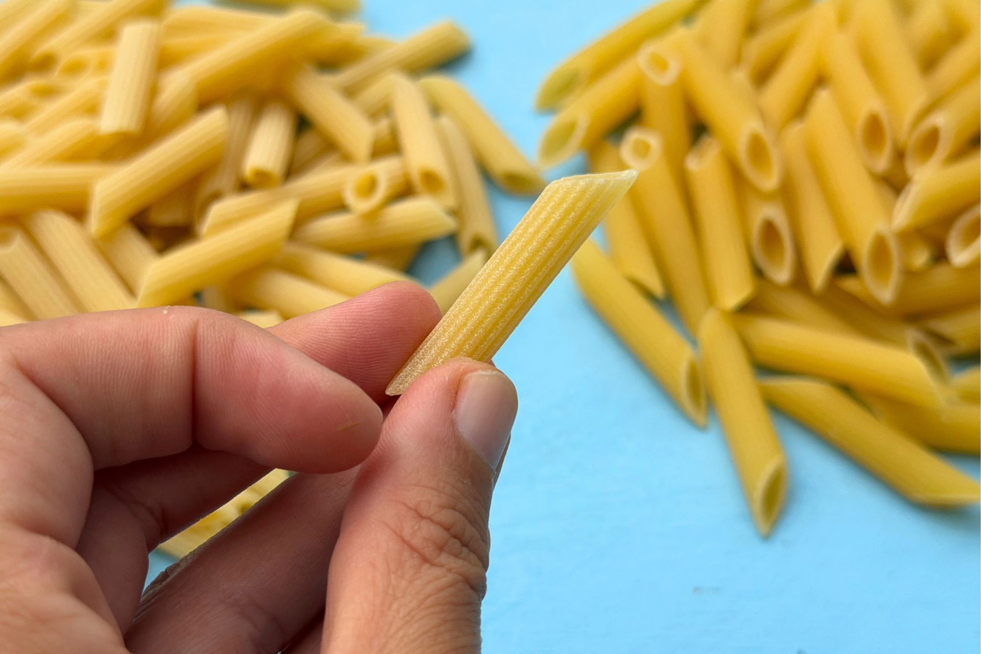 Bronze-cut pasta comparison