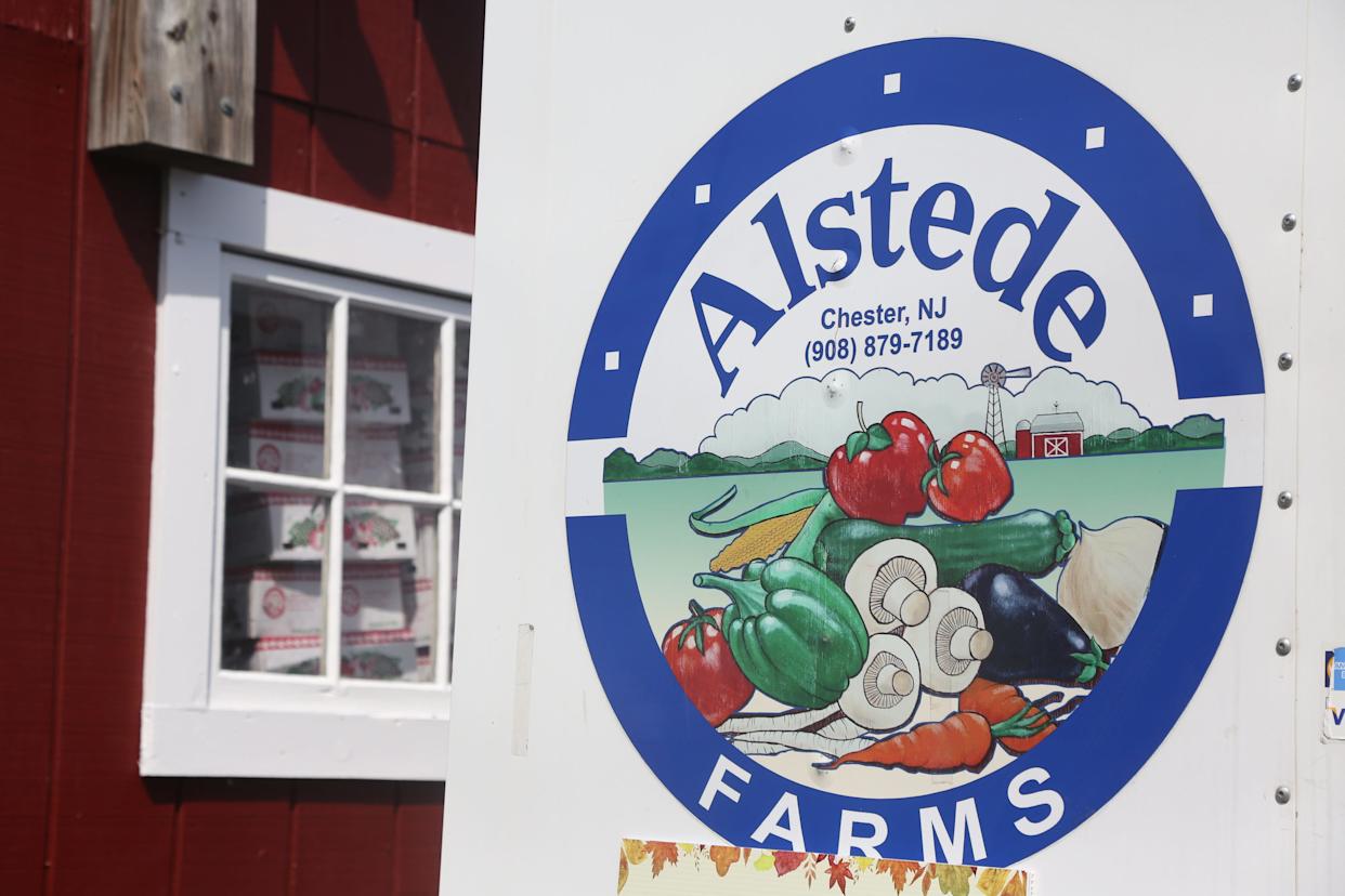 Chester, NJ September 21, 2023 — Apple picking season and the wonders of Fall are full in stride at Alstede Farms in Chester, NJ on September 21, 2023.