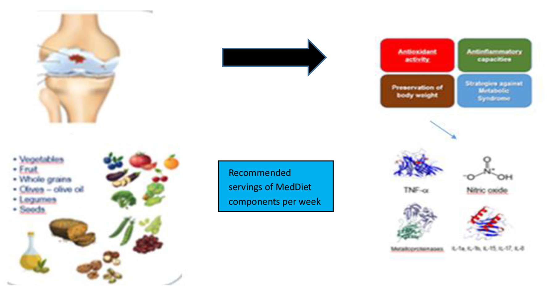 Diagram showing the Mediterranean diet's benefits for knee health, listing foods like vegetables, fruits, whole grains, and olive oil. An arrow points to a set of health benefits: antioxidant activity, anti-inflammatory capacity, weight preservation, and metabolic syndrome strategies. Another arrow highlights molecules: TNF-alpha, nitric oxide, and metalloproteinases.