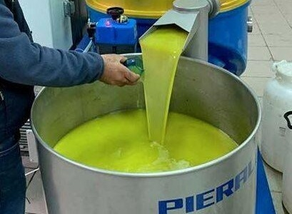 Italian olive oil supply chain in difficulty: AIFO calls on Masaf to implement controls, credit, and promotion Italian olive oil supply chain in difficulty: AIFO calls on Masaf to implement controls, credit, and promotion
