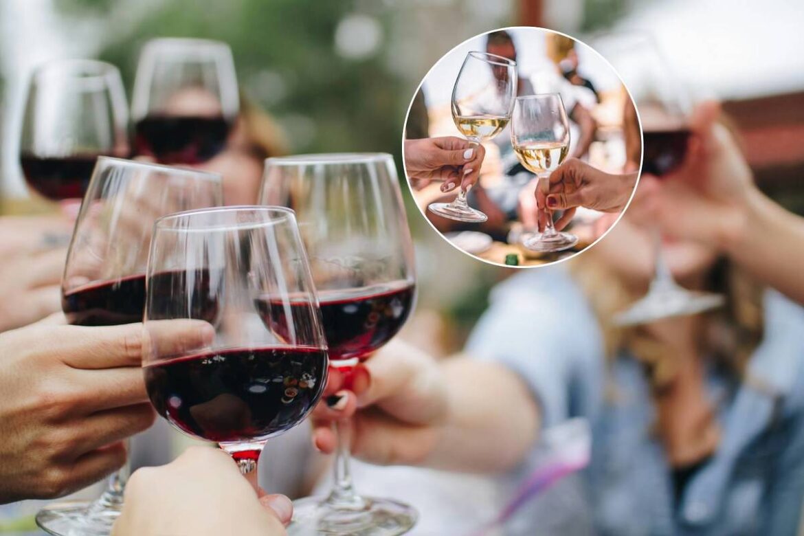 Unlimited tastings of Italy’s finest wines starting at €12: this unmissable festival takes over LX Factory this weekend Unlimited tastings of Italy’s finest wines starting at €12: this unmissable festival takes over LX Factory this weekend