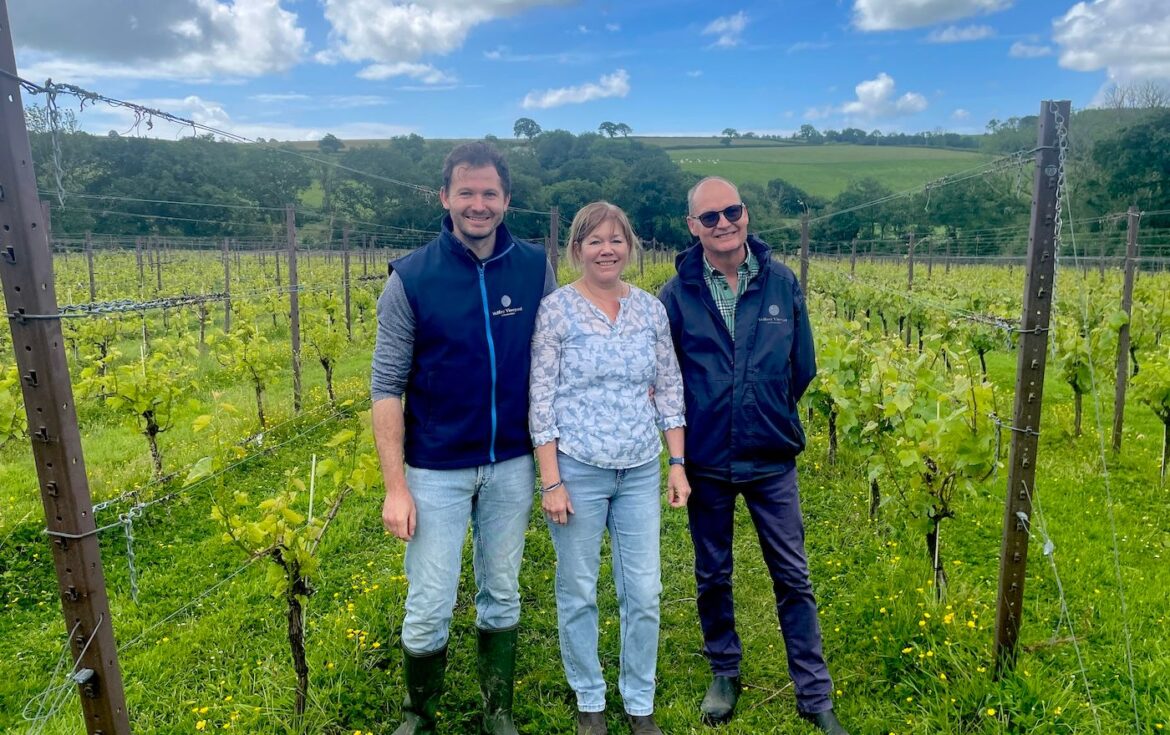 The Buyer | Leona de Pasquale on why Welsh wine is the UK’s best-kept secret Leona de Pasquale on why Welsh wine is the UK's best-kept secret