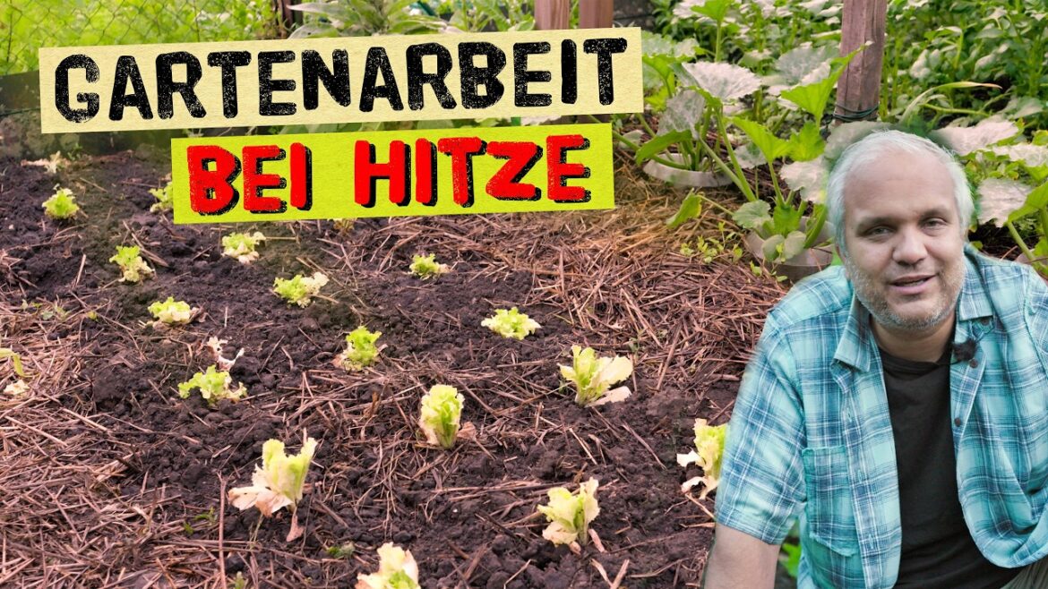 Gemüsegarten bei 30 Grad+ Gartenarbeiten auch bei Hitze Gemüsegarten bei 30 Grad+ Gartenarbeiten auch bei Hitze