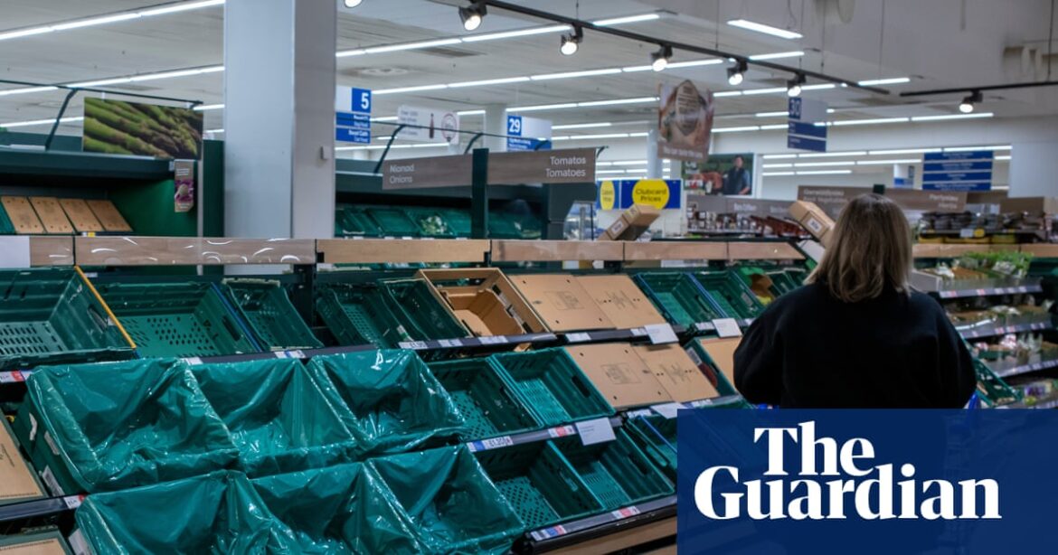 ‘Immediate national priority’: Ministers accused of complacency over UK food supply | Food & drink industry ‘Immediate national priority’: Ministers accused of complacency over UK food supply | Food & drink industry