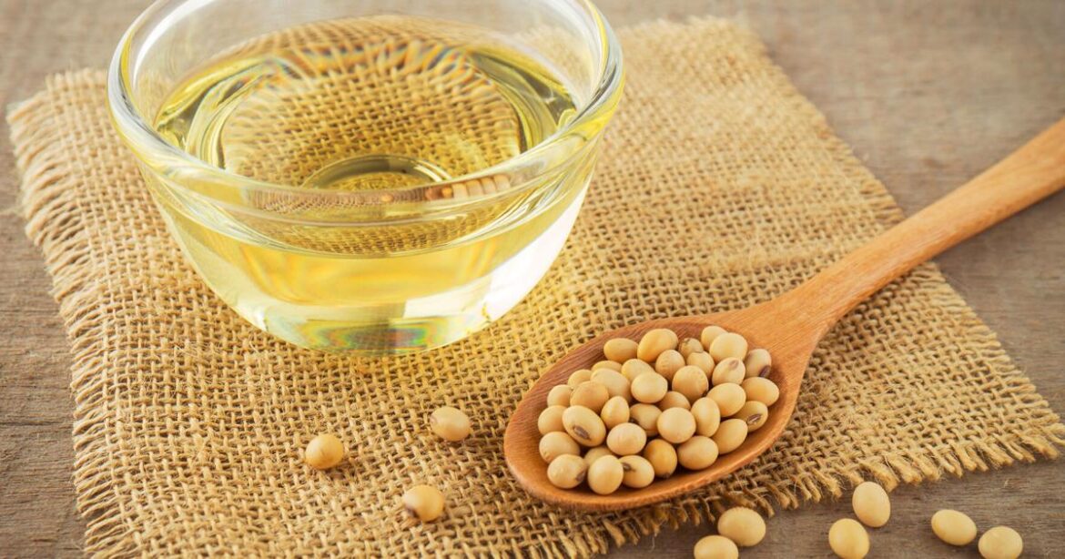Is America’s most popular cooking oil harming your gut? | Lifestyles Is America’s most popular cooking oil harming your gut? | Lifestyles
